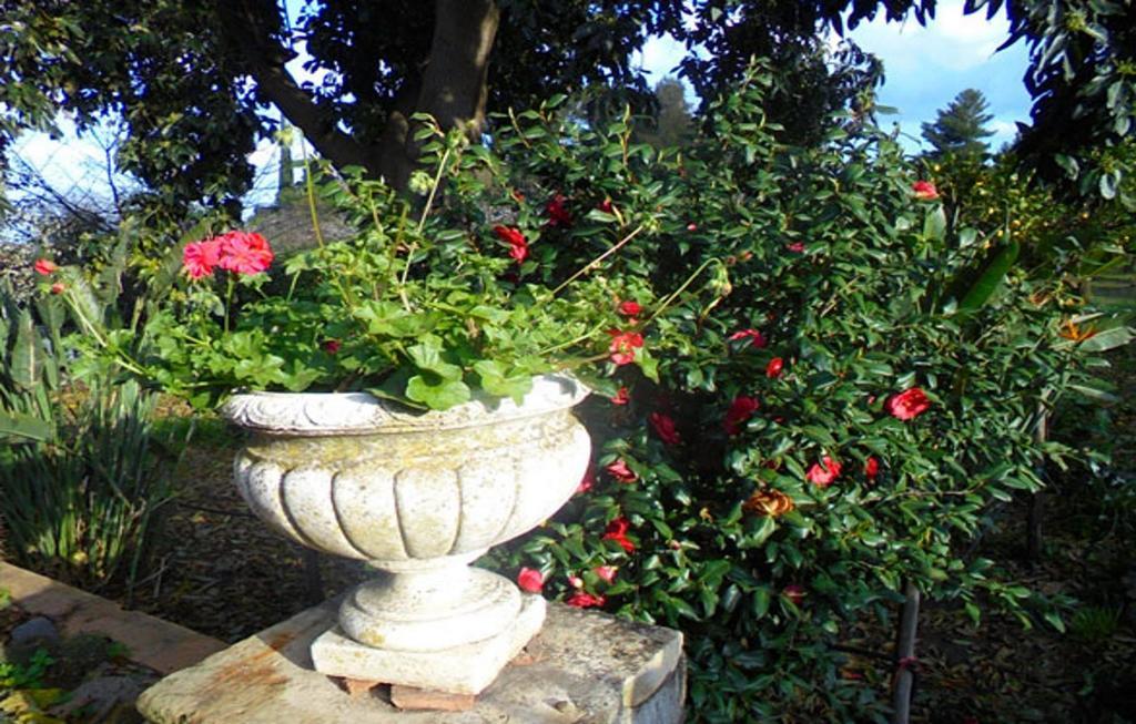 مبيت وإفطار جاري Baglio Delle Rose المظهر الخارجي الصورة