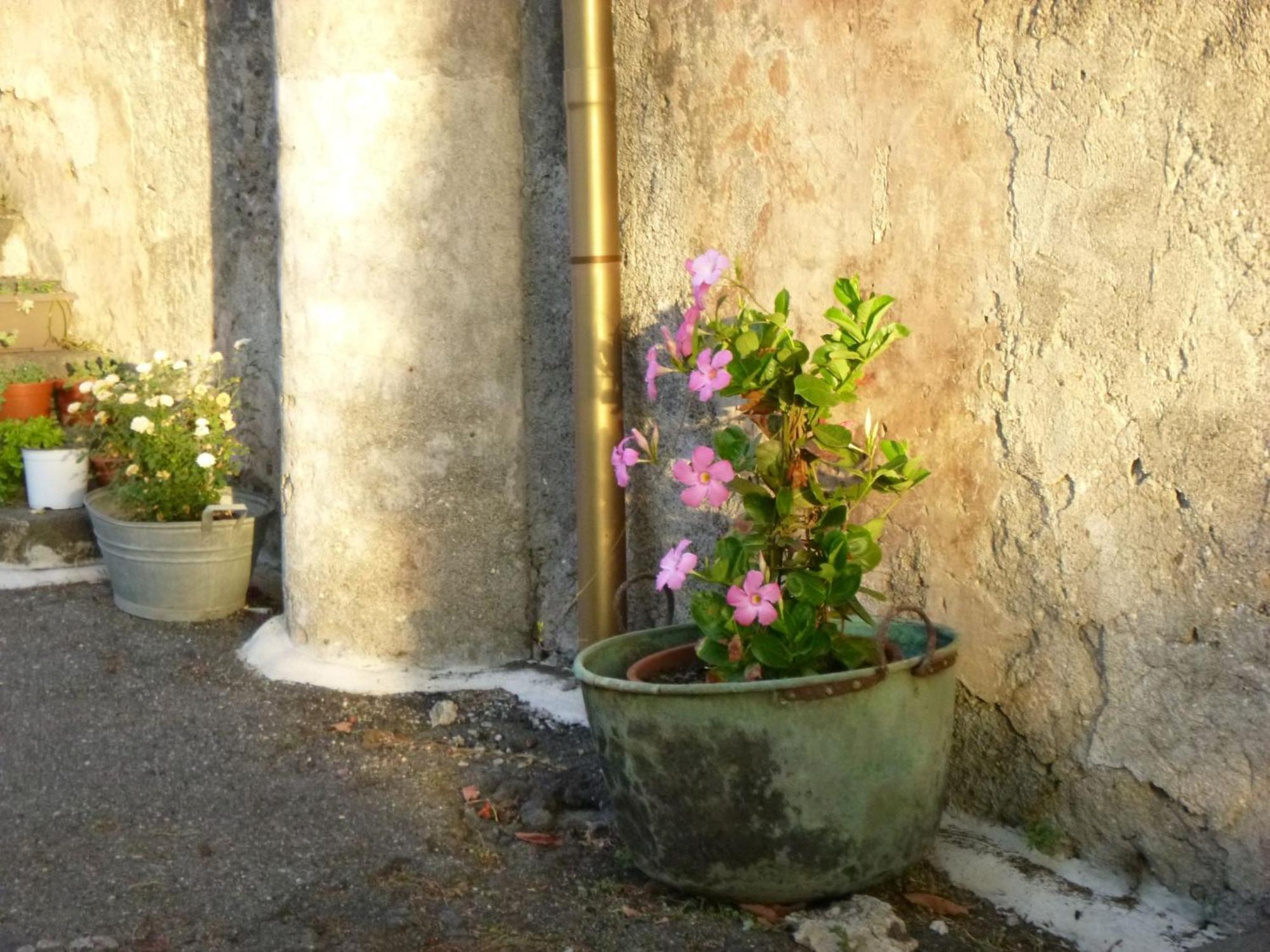 مبيت وإفطار جاري Baglio Delle Rose المظهر الخارجي الصورة